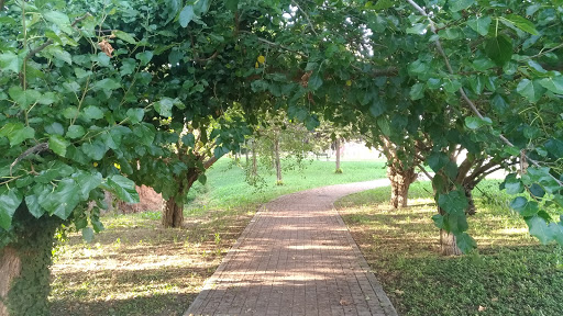 Parco Rosa Mariani Gallery - Italy