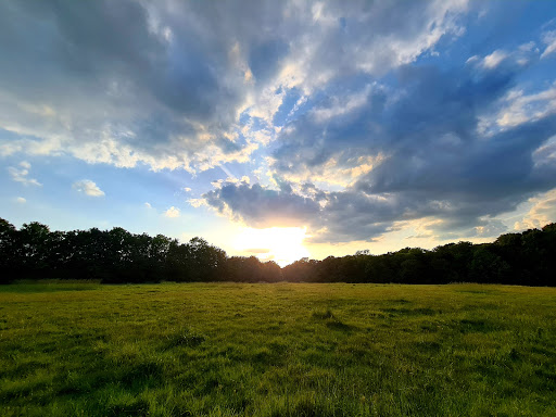 Merrow Common - Visual