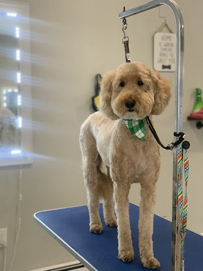 The Pretty Paw Grooming And Day Spa