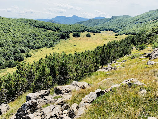 Foresta di Monte Nero - Thumbnail