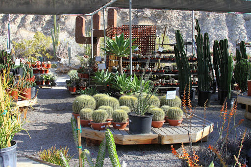 Moller’s Garden Center - Thumbnail