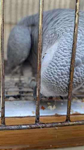 Кафе Мираж - Несебър