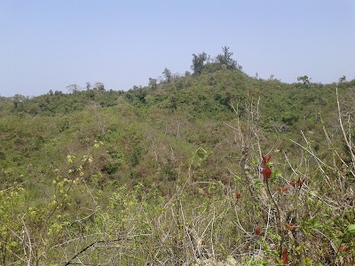 Photos of Inani National Park