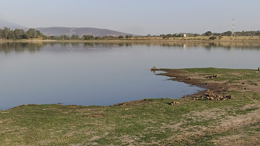 Presa el llano - Thumbnail