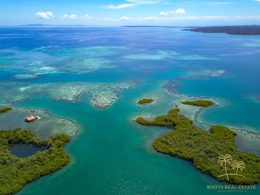 Roots Real Estate Panama