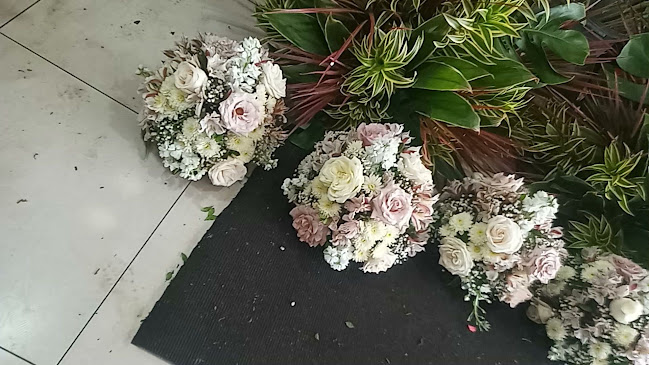 Opiniones de Paul Floristeria en Guayaquil - Floristería
