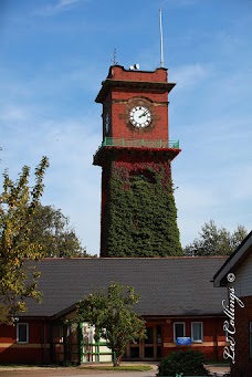 Seacroft Hospital york