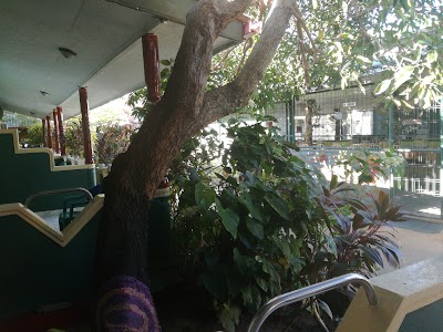 Photos of Green Garden.