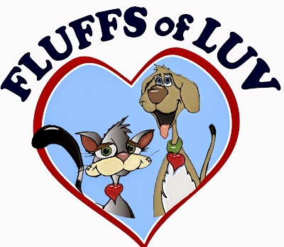 Photos of Fluffs of Luv Pet Sitting & Dog Walking