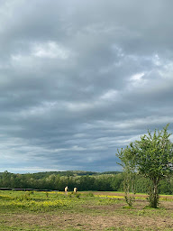 Photo n°10 de Louise Laval Dressage à Montreuil-sur-Barse (Centre équestre)