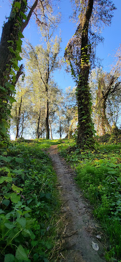 MTB Track Cremona Gallery - Italy