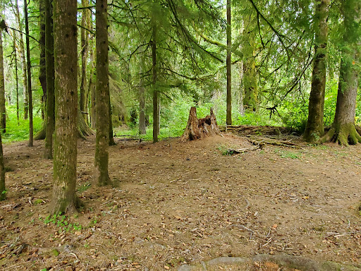 Van Duzer Rest Area - Visual