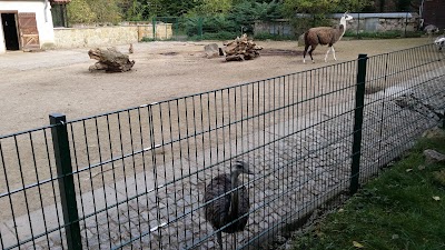 Photos of Gotha Zoo