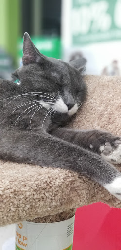 Pet Supplies Plus Farmington Hills - Thumbnail