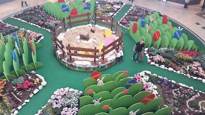 Photos of TAJ Mall