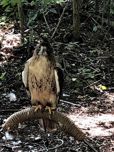 Woodlands Nature Station