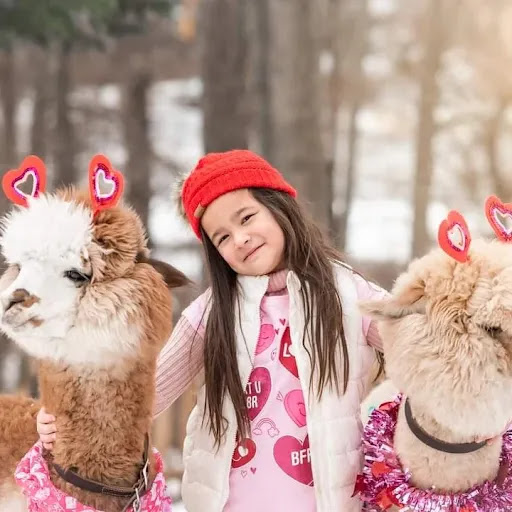 My Pet Alpaca - Thumbnail