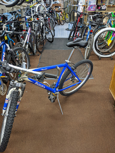 Grand Cycle - Visual