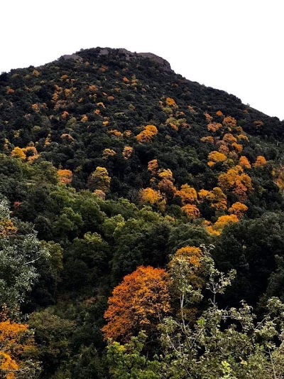 Buronjat e Kuçit