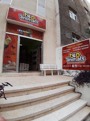 TOP ANIMALS TENERIFE