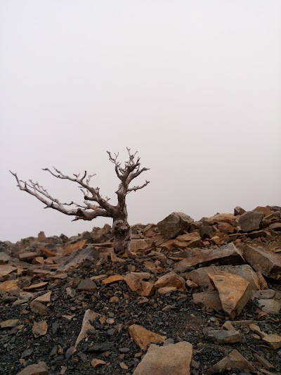 photo of Xueshan North Peak