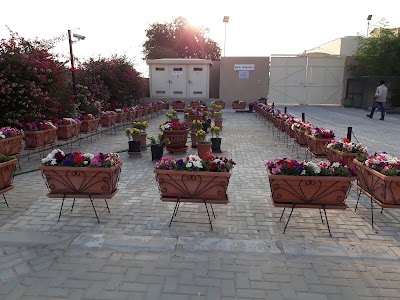 Photos of New Sonapur Cemetery
