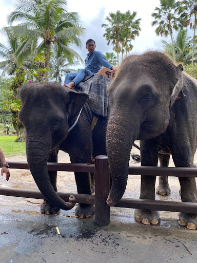 Official Touristm Information