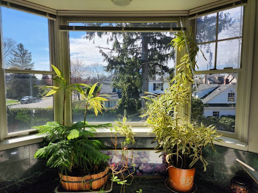 Picture Perfect Window Cleaning LLC