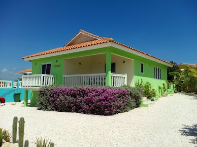 real-estate-agency