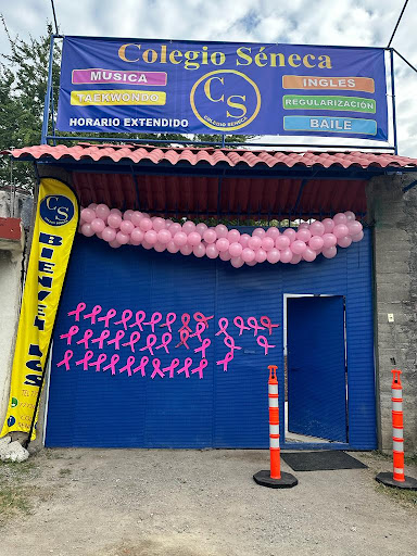 COLEGIO SENECA