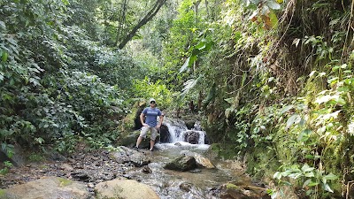 Photos of Asteya Retreat &bull; Eco Lodge and Nature Reserve