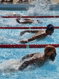 Photo n°1 de Cercle des nageurs cérétans à Céret (Club de natation)