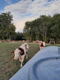 Photo n°2 de La Ferme de la Passion à Fillière (Ferme)