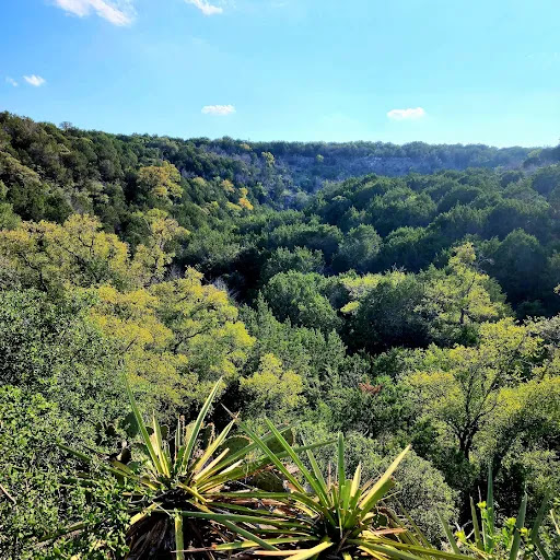 Gorman Falls - Visual
