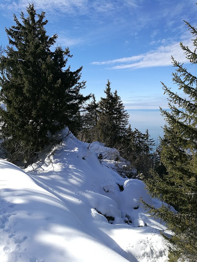 Rochers de Naye