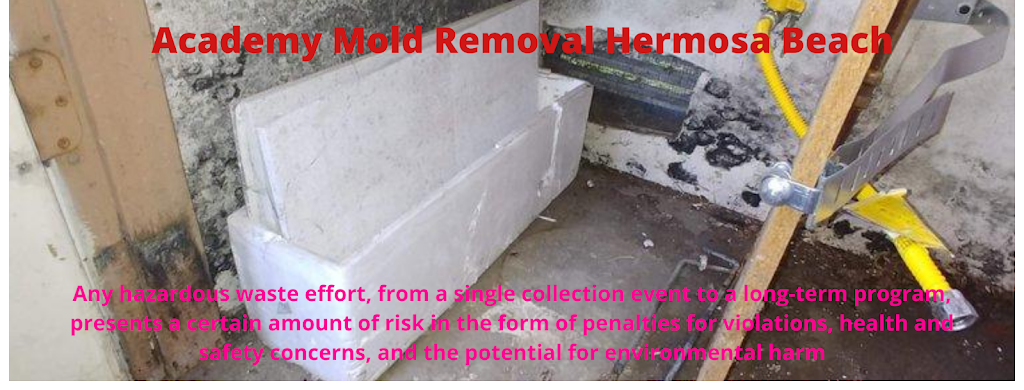 Academy Mold Removal Hermosa Beach photo