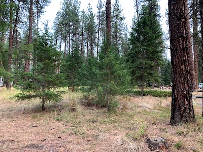 Forest Grove Campground