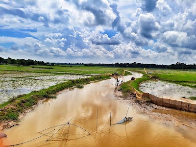 Photos of Ashuganj Silo
