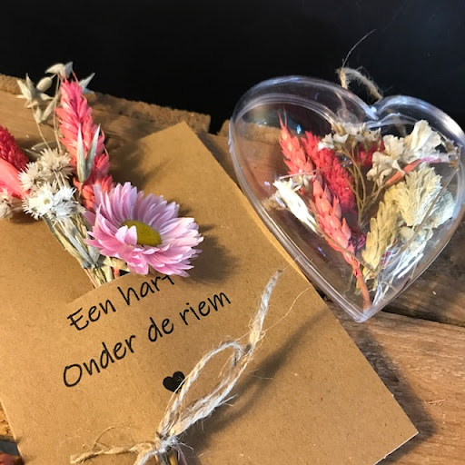 Breijpunt - Thumbnail