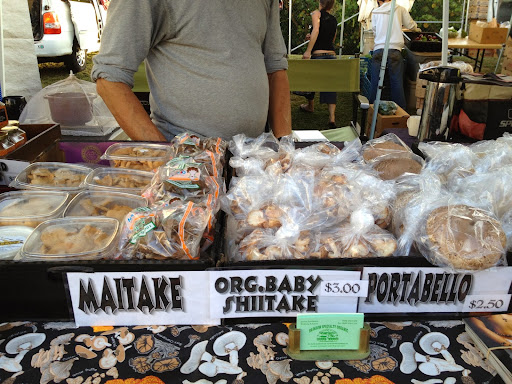 Maui Exposition - Thumbnail