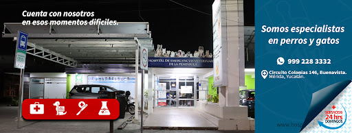 Hospital de Emergencias Veterinarias de la Península