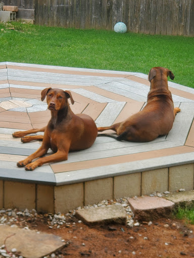 Walnut Creek Animal Clinic - Thumbnail
