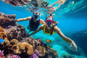 Photo n°7 de Selectour - Visages du Monde à Saint-Malo (Agence de location de maisons de vacances)