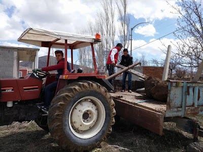 Photos of NENEZİ GEN&Ccedil;LİK PARKI