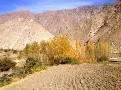 Safar Ali Garden باغ صفرعلي باي