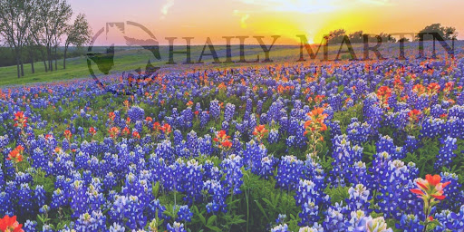 Haily Martin, Real Estate Agent - RE/MAX Bluebonnet Properties