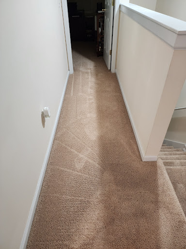 Close Call Carpet Cleaning LLC - Thumbnail