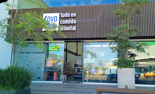 TOYO FOODS AGS. SUR