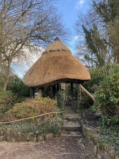 J Rogers Thatching - Visual