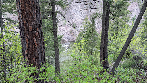 Triple Bridges Campground - Thumbnail